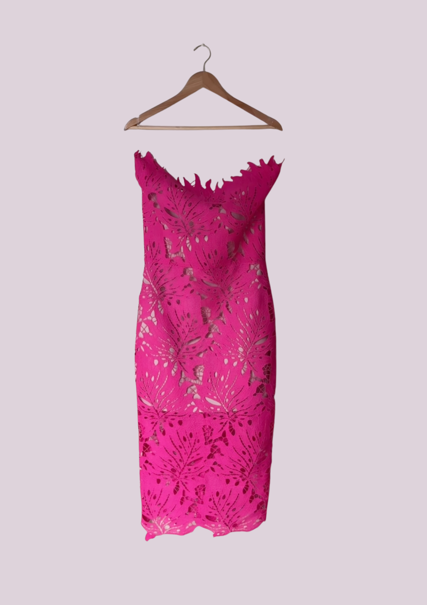 The Fuchsia Dress